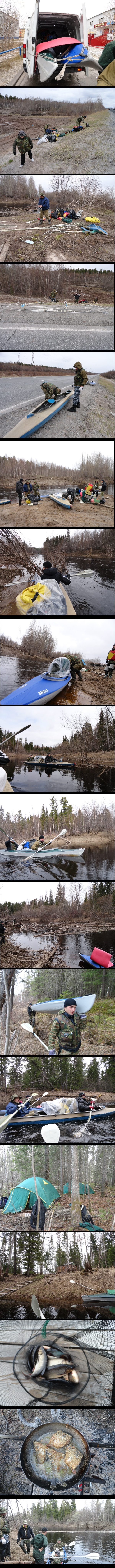 �������� ����� �� ����  ��������