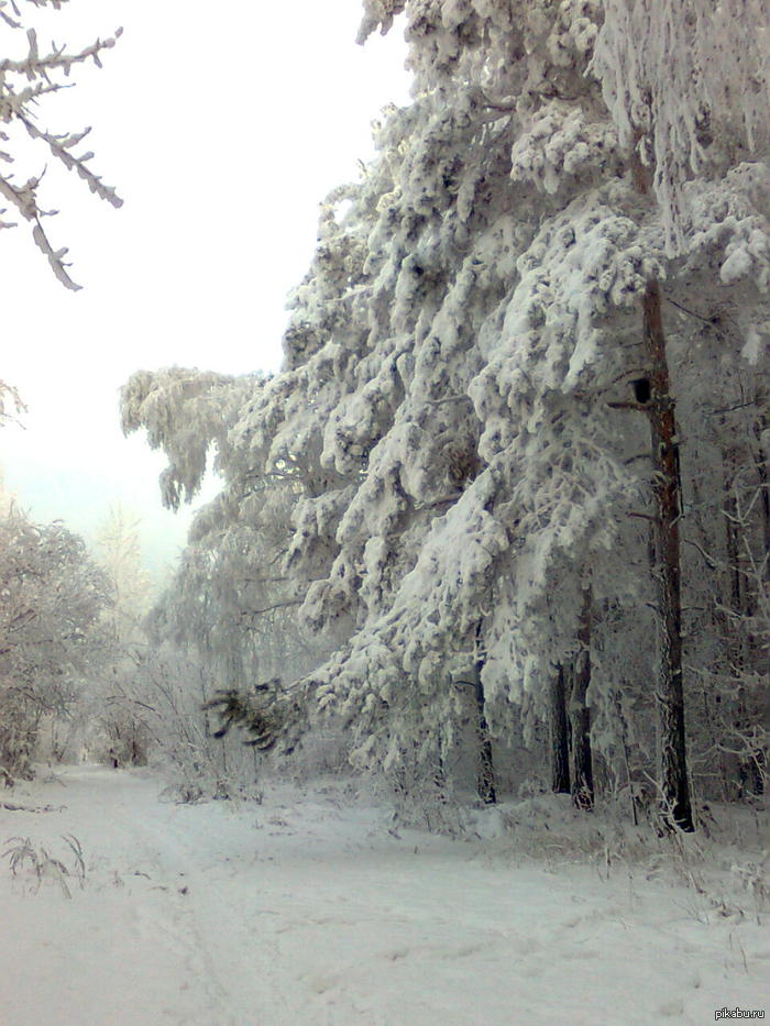 ��� ������� ��� � ���� ���-�� ����?