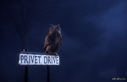 ����� � ����� �������