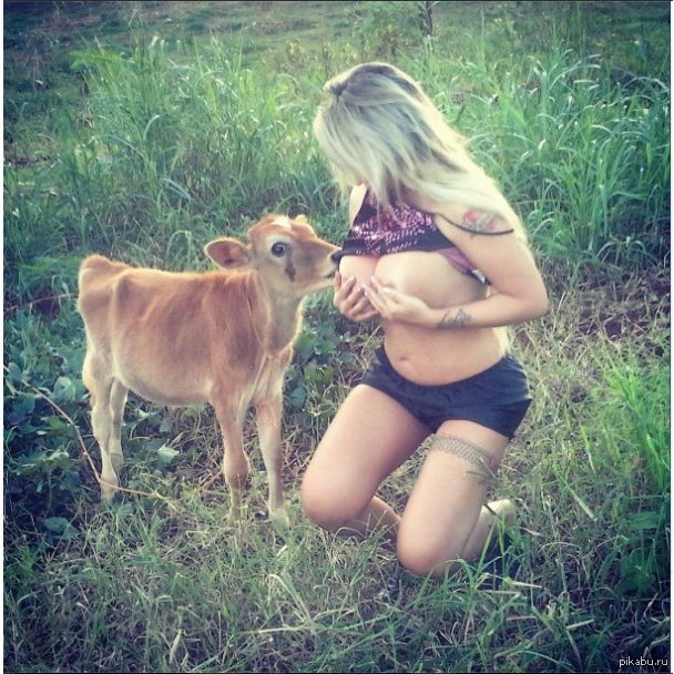 Brazilian top model breastfeeds calf! - NSFW, Sabrina, Top Model, Brazil, Calf, Crazy