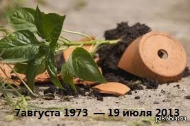 КиШ не будет прежним