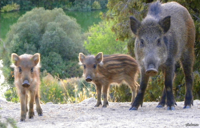Семейное фото, папки не хватает =)