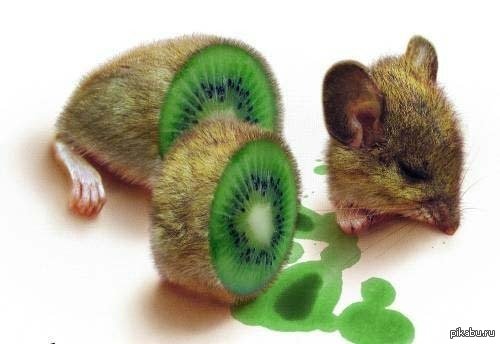 ��� �������