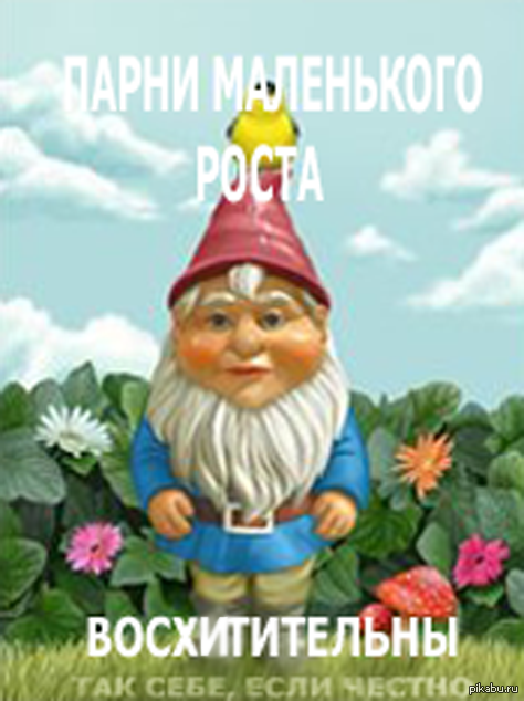 Маленький рост | Пикабу