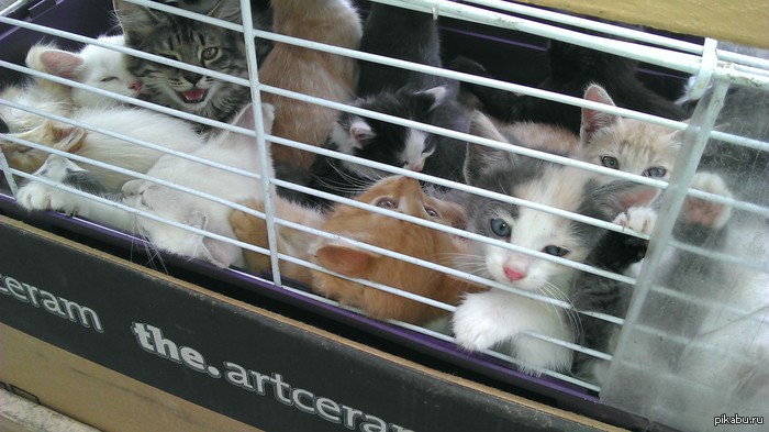 ��������� ����-������)))