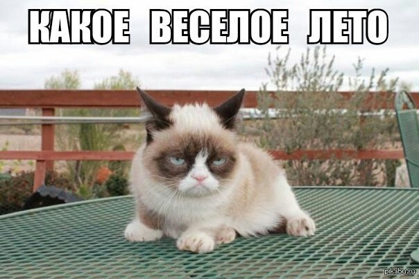 лето веселое картинки онлайн лето веселое картинки