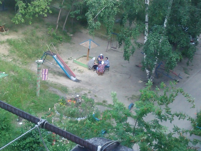 нет лавочек во дворе...выживают как могут