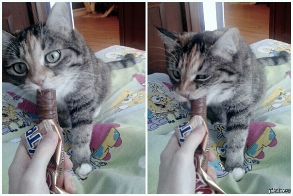 ��� � twix :�