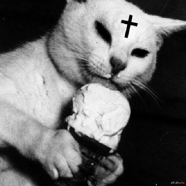 Коты мороженщик. Мороженое и кот. Котик с мороженым. Котик ест мороженое. Котенок мороженое.