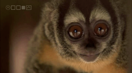 Что делаешь?