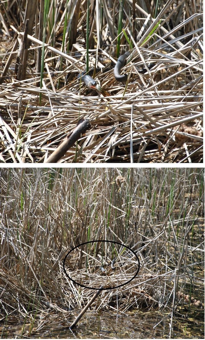 И снова о зуме