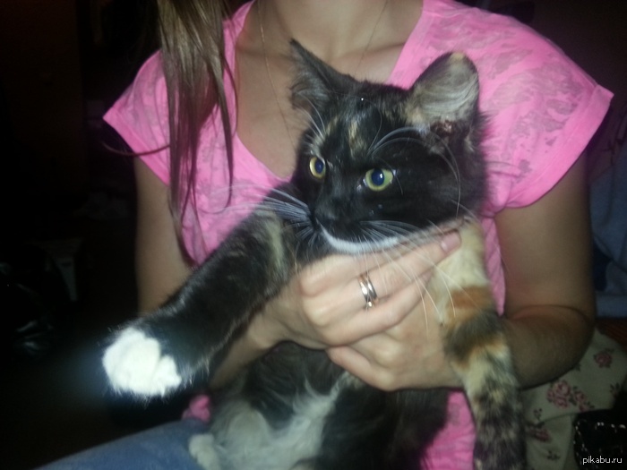 �������� ���������� �������.������.