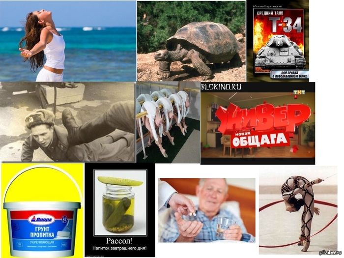 ������� (�����).