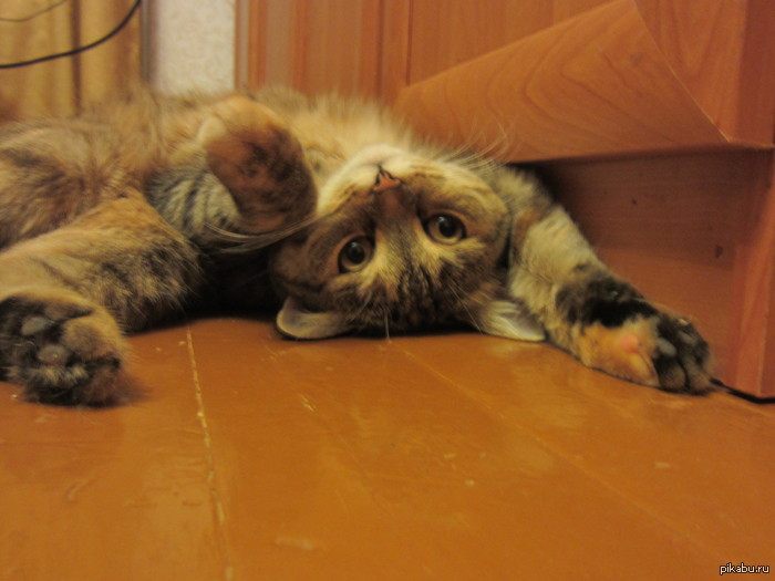 ��� �� ��� �������?