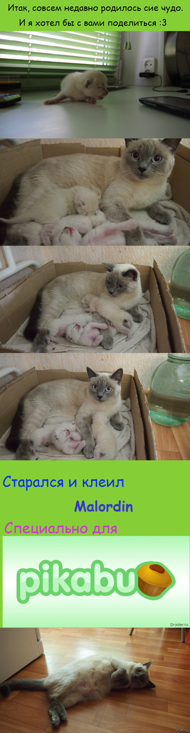 ��������� ���������� � �����.