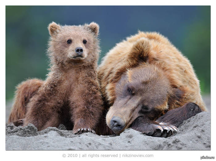 ����� �� ������ ����� ������