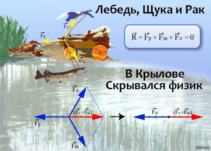 Physics is everywhere - Swans, Crayfish, Pike, Physics, Vector, Zero, Krylov, Cancer and oncology