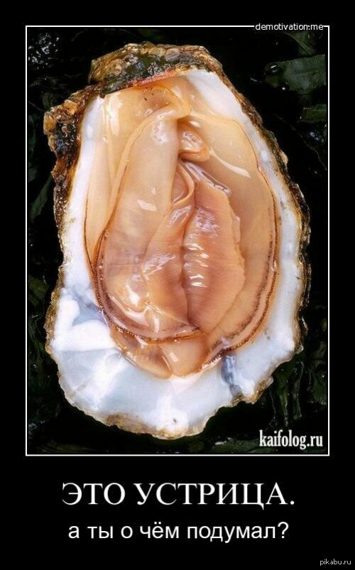 Sea delicacy - NSFW, Delicacy, Oysters
