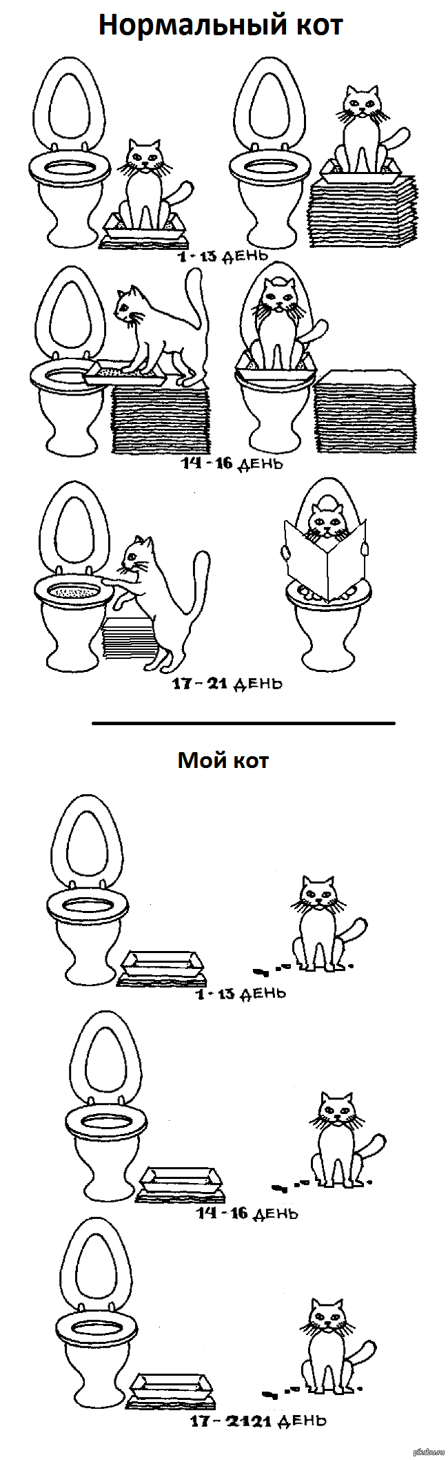 Моем кота нормально. Нормальный кот. Комикс про кота и лоток.