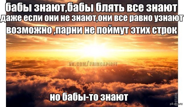 Они знают. | Пикабу