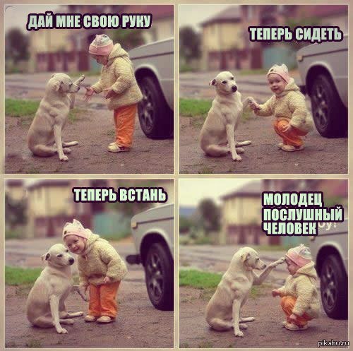 ���������, ���������, ��������.