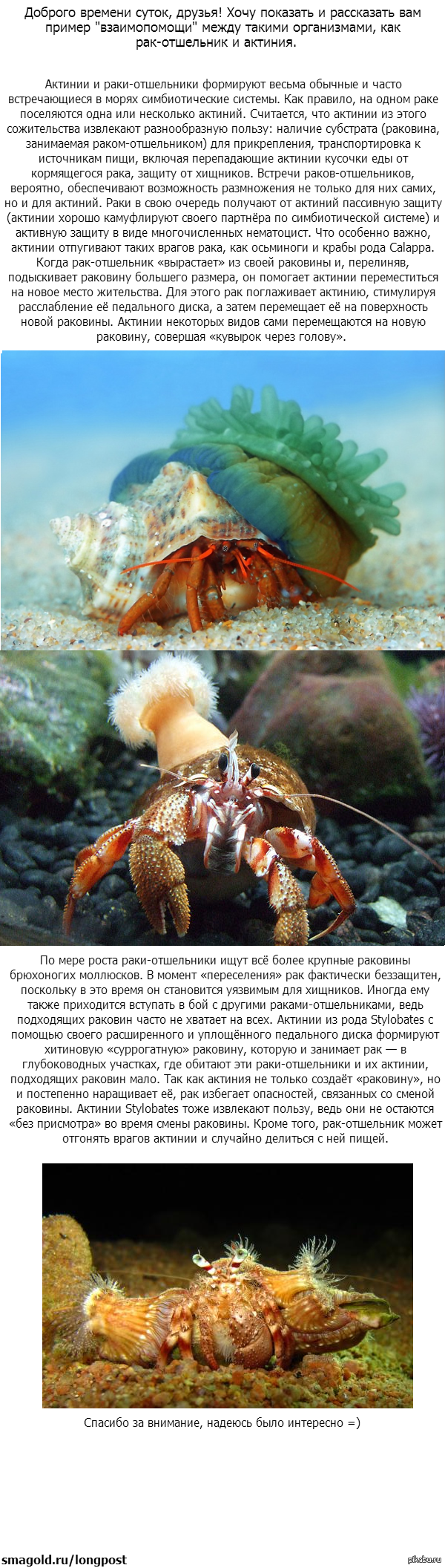 ����� ��� �����