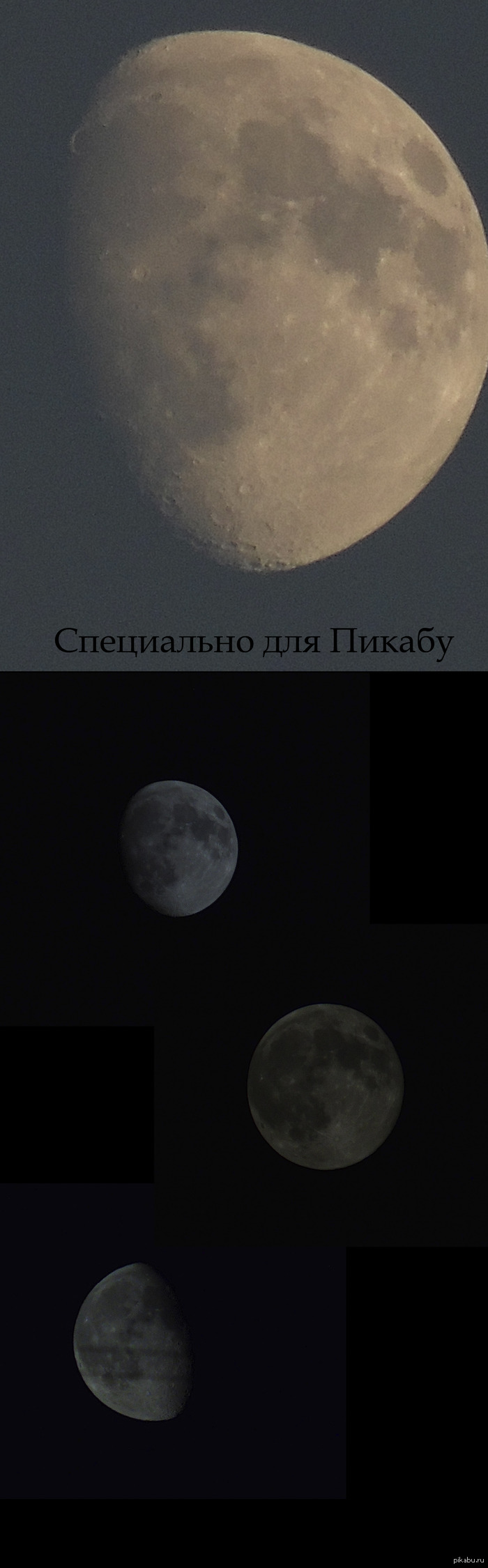 Луна | Пикабу
