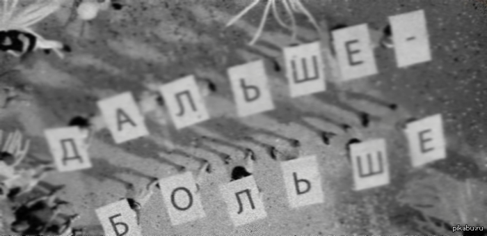 Реклама билайн. | Пикабу