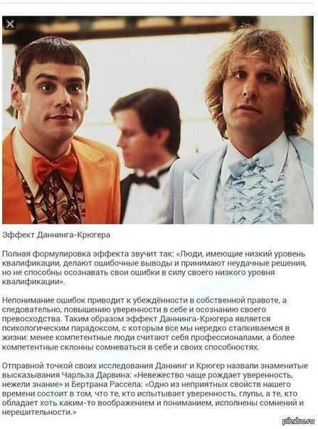 Эффект Даннинга-Крюгера | Пикабу