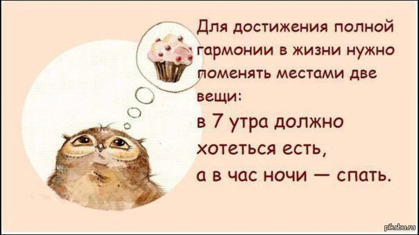 1 шаг до идеального мира. | Пикабу