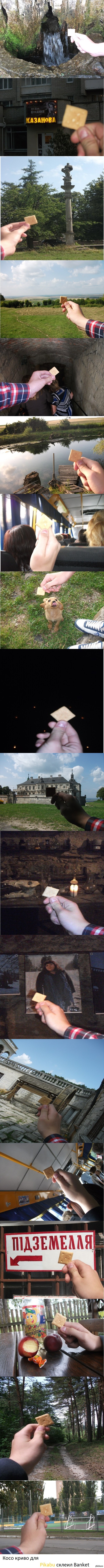 ����������� ��������