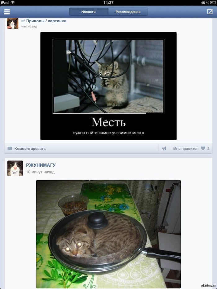 ����������??