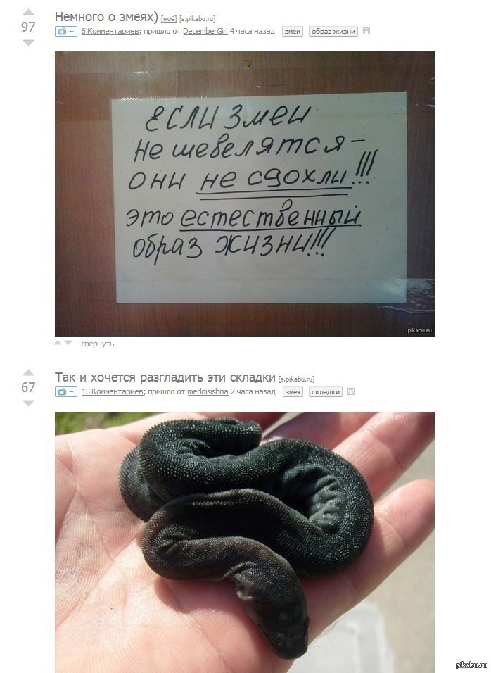 ������ ���������� �� ����...