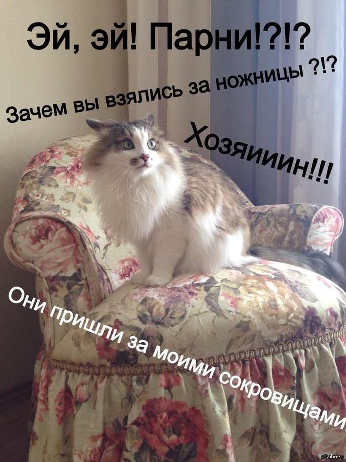  ...( 