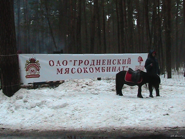 Жестокий век, жестокие сердца | Пикабу