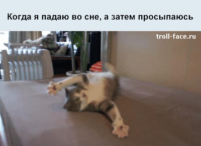 ��� ������ ���