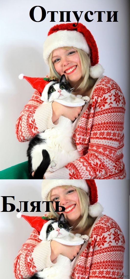 Ещё один злой котейка.