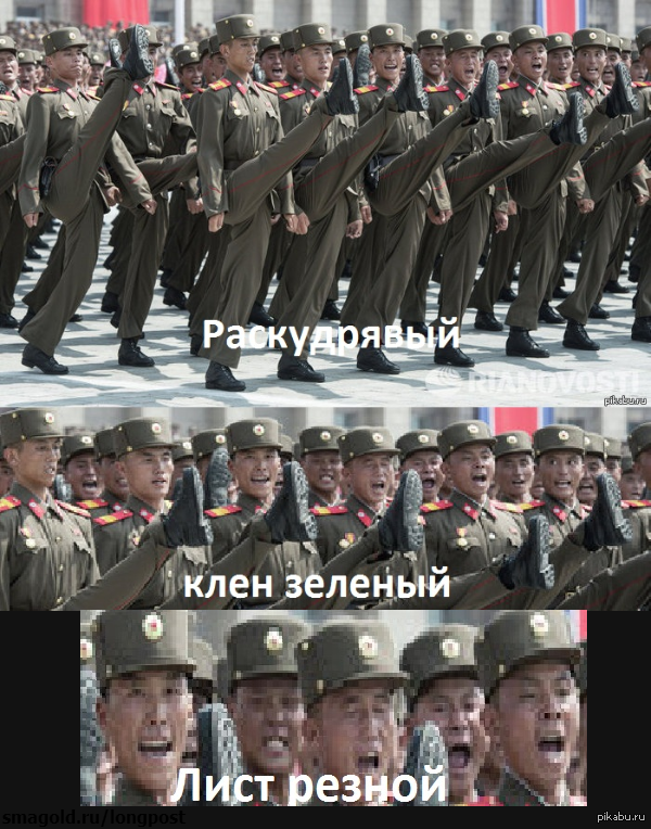 � ����� �� http://pikabu.ru/story/_1432840