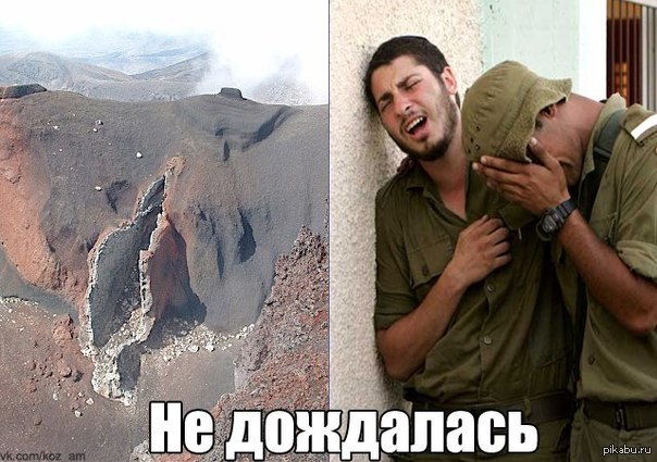Беда | Пикабу