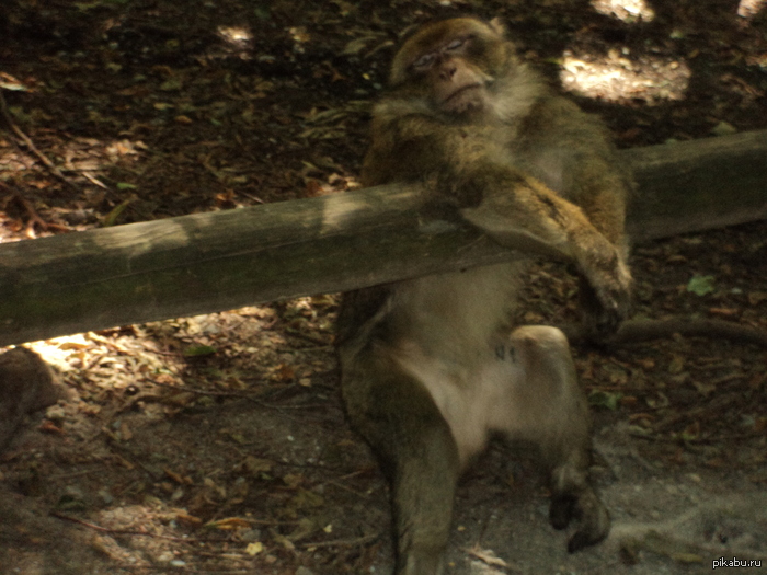 ��������� ������