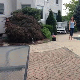 �������� �� ��� � ���������