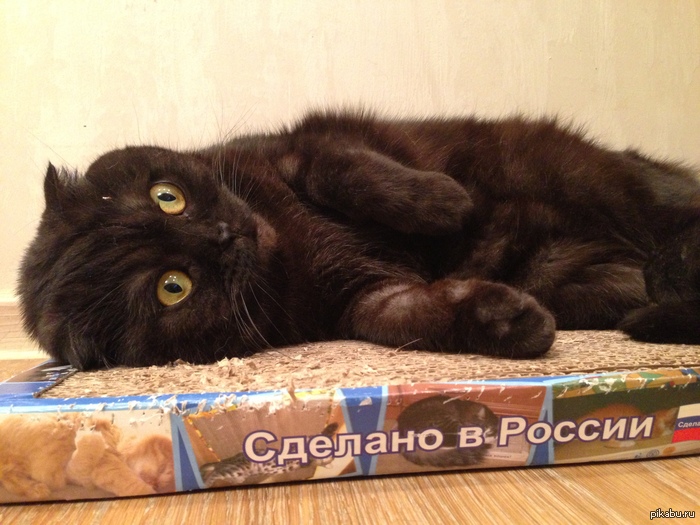 ������� � ������