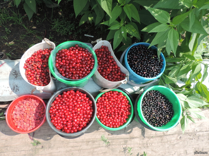 �� ������� ������� ������)