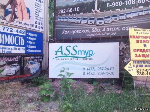 ������������� �����������