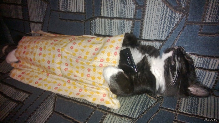 ��� ��� ��� ������� �����, ��� � �� ���������� ������ �� ����� �������.