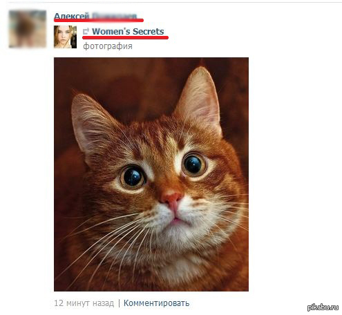 Внимание на имя чувака и имя группы.