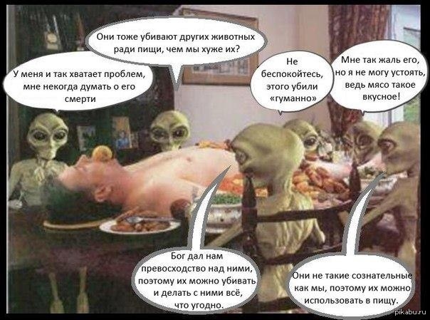 ���������...