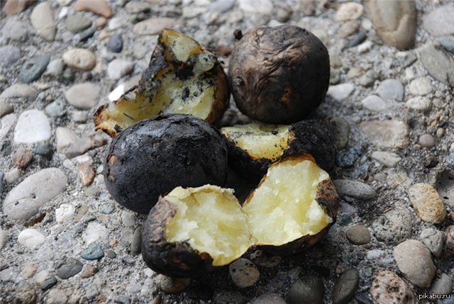 � �� ������ ������� �������� �������������� � �����?