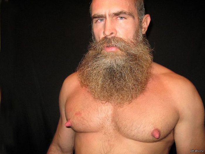 Большегрудый мужик. Бородатый мужик с сиськами. Огромный волосатый и бородатый.