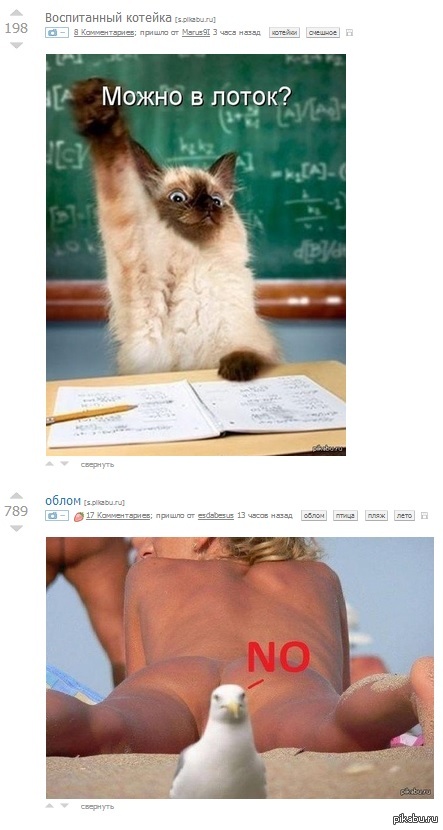 Hilarious coincidence - NSFW, Peekaboo, cat